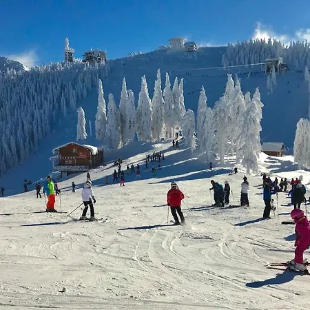 Residential Апартаменти Брашов